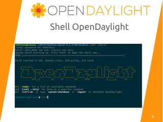 Shell OpenDaylight
6
 