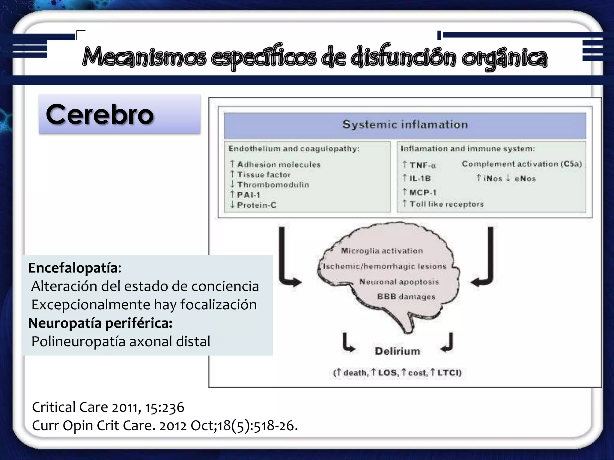 Sindrome disfunción orgánica múltiple | PPTX