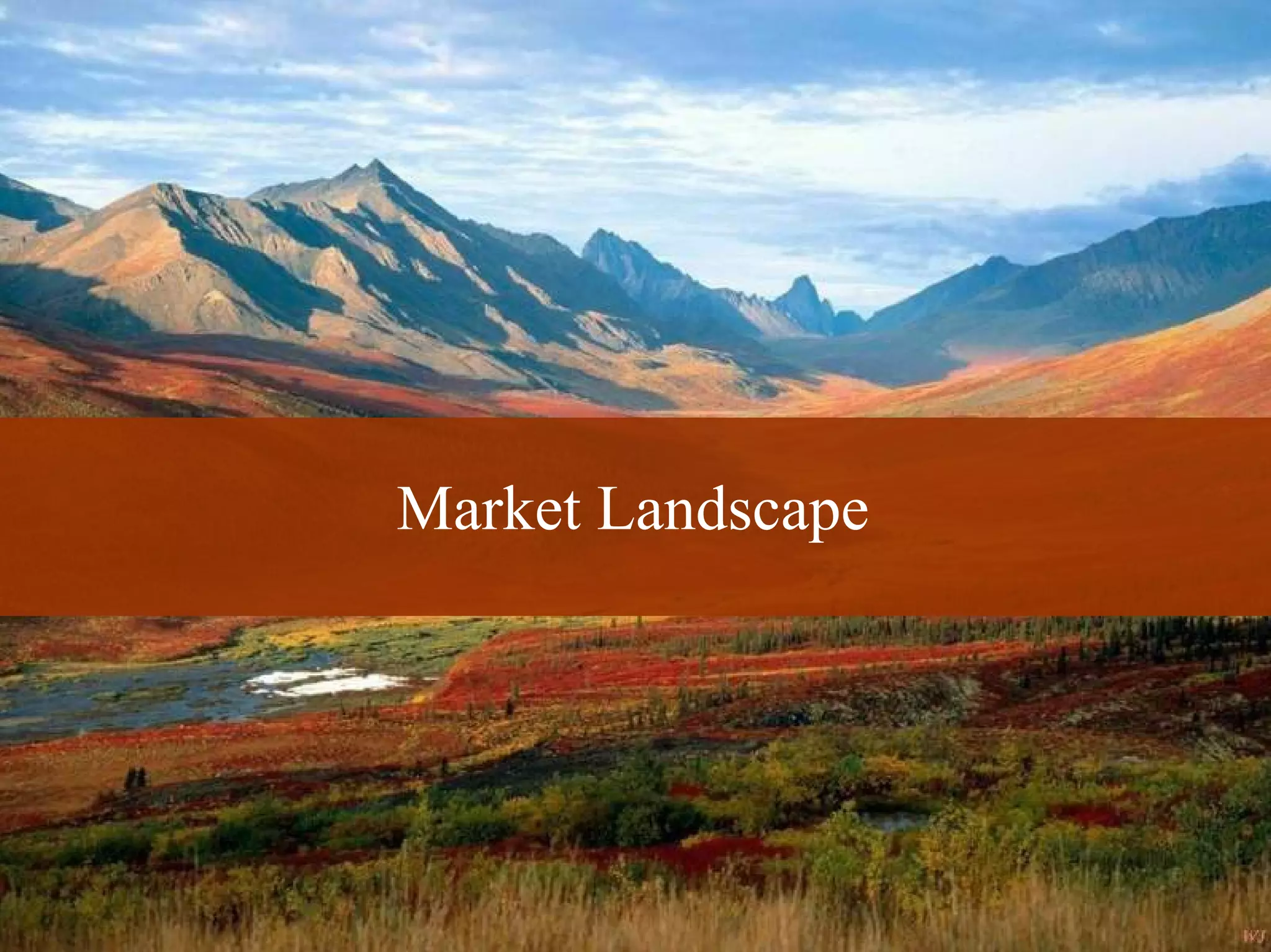 Market Landscape




5
          © 2008 Alan Quayle
 