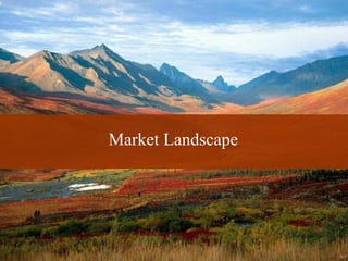 Market Landscape




5
          © 2008 Alan Quayle
 