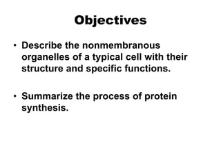 name any cell organelle which is non membranous