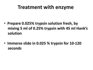 Treatment with enzyme
• Prepare 0.025% trypsin solution fresh, by
mixing 5 ml of 0.25% trypsin with 45 ml Hank’s
solution
• Immerse slide in 0.025 % trypsin for 10-120
seconds
 