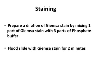 Staining
• Prepare a dilution of Giemsa stain by mixing 1
part of Giemsa stain with 3 parts of Phosphate
buffer
• Flood slide with Giemsa stain for 2 minutes
 