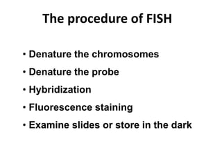 The procedure of FISH
• Denature the chromosomes
• Denature the probe
• Hybridization
• Fluorescence staining
• Examine slides or store in the dark
 