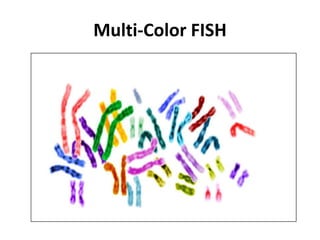 Multi-Color FISH
 