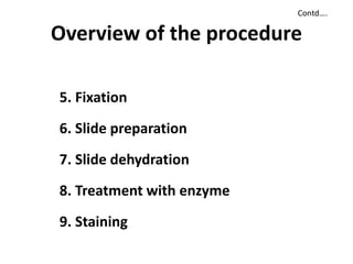Overview of the procedure
5. Fixation
6. Slide preparation
7. Slide dehydration
8. Treatment with enzyme
9. Staining
Contd….
 