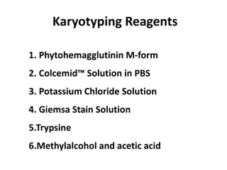 Karyotyping Reagents
1. Phytohemagglutinin M-form
2. Colcemid™ Solution in PBS
3. Potassium Chloride Solution
4. Giemsa Stain Solution
5.Trypsine
6.Methylalcohol and acetic acid
 