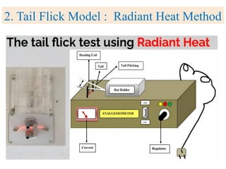 2. Tail Flick Model : Radiant Heat Method
 
