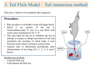 3. Tail Flick Model : Tail immersion method
This test is Selective for morphine like analgesics.
Procedure:
• Rats are place in rat holder so that tail hangs freely.
• Distal 5 cm portion of the tail is
immersed(max.upto 15 sec) in a cup filled with
warm water maintained at 55 ±1 °C
• The time taken by the rat to withdraw the tail or
attempt to escape or abrupt movement of tail and
sometimes the recoiling of whole body is seen
from hot water which is noted as reaction time.
• reaction time is determined periodically after
administration of test drug (0.5, 1, 2, 3, 4, and 6
hours)
Modification methods:
- Cold tail Flick test.
- Cold ethanol tail flick test
 