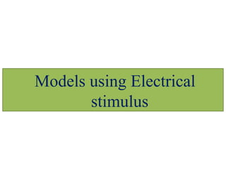 Models using Electrical
stimulus
 