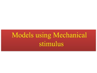 Models using Mechanical
stimulus
 