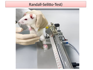 Randall-Selitto-Test)
 