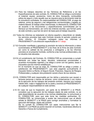 2.5 Para los trabajos descritos en los Términos de Referencia y en las
      Especificaciones de este contrato, EL CONSULT...