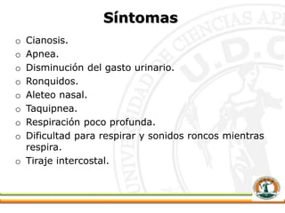 Síntomas
o Cianosis.
o Apnea.
o Disminución del gasto urinario.
o Ronquidos.
o Aleteo nasal.
o Taquipnea.
o Respiración poco profunda.
o Dificultad para respirar y sonidos roncos mientras
respira.
o Tiraje intercostal.
 