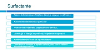 Surfactante
Reduce la tensión superficial que tiende a colapsar los alveolos
Aumenta la distensibilidad pulmonar
Promueve la estabilidad y reclutamiento alveolar.
Disminuye el trabajo respiratorio y la presión de apertura
Aumenta la depuración de líquido alveolar
Contribuye a proteger el epitelio celular junto con el sistema
antioxidante pulmonar
 