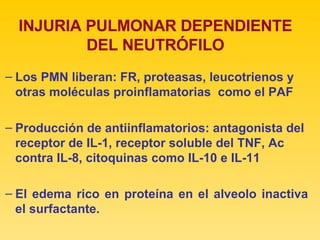 INJURIA PULMONAR DEPENDIENTE DEL NEUTRÓFILO Los PMN liberan: FR, proteasas, leucotrienos y otras moléculas proinflamatorias  como el PAF Producción de antiinflamatorios: antagonista del receptor de IL-1, receptor soluble del TNF, Ac contra IL-8, citoquinas como IL-10 e IL-11 El edema rico en proteína en el alveolo inactiva el surfactante. 