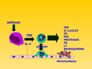 estímulo TNF IL-1 adhesión TNF IL-1,6,8,10 FR PAF PROTEASAS PG LT BRADIQUININA Microtrombosis 