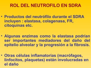 ROL DEL NEUTROFILO EN SDRA Productos del neutrófilo durante el SDRA incluyen : elastasa, colagenasa, FR, citoquinas etc. Algunas enzimas como la elastasa podrían ser importantes mediadores del daño del epitelio alveolar y la progresión a la fibrosis. Otras células inflamatorias (macrófagos, linfocitos, plaquetas) están involucradas en el daño 