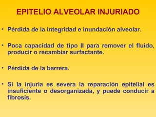 EPITELIO ALVEOLAR INJURIADO Pérdida de la integridad e inundación alveolar. Poca capacidad de tipo II para remover el fluido, producir o recambiar surfactante. Pérdida de la barrera. Si la injuria es severa la reparación epitelial es insuficiente o desorganizada, y puede conducir a fibrosis.  