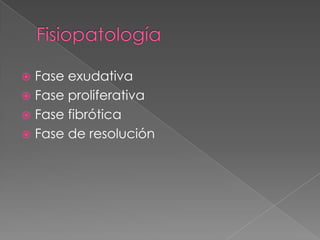 Fase exudativa
 Fase proliferativa
 Fase fibrótica
 Fase de resolución
 