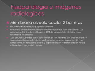    Membrana alveolo capilar 2 barreras
   Endotelio microalveolar y epitelio alveolar
   El epitelio alveolar normal está compuesto por dos tipos de células. Los
    neumonocitos tipo I constituyen el 90% de la superficie alveolar y son
    fácilmente lesionados.
    Las células cuboides tipo II constituyen el 10% restante del área alveolar, y
    son más resistentes a la injuria; sus funciones incluyen la producción de
    surfactante, el transporte iónico, y la proliferación y diferenciación hacia
    células tipo I luego de la injuria.
 