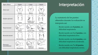 z
Interpretación
 La sumatoria de los puntos
obtenidos durante la evaluación se
interpreta así:
 Recién nacido con 0 puntos, sin
dificultad respiratoria.
 Recién nacido con 1 a 3 puntos, con
dificultad respiratoria leve.
 Recién nacido con 4 a 6 puntos, con
dificultad respiratoria moderada.
 Recién nacido con 7 a 10 puntos,
con dificultad respiratoria severa.
 