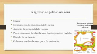 • Edema
• Espessamento do interstício alvéolo-capilar
• Aumento da permeabilidade vascular
• Preenchimento da luz alveolar com líquido, proteínas e células
• Diluição da surfactante
• Colapsamento alveolar com perda de sua função.
Esquema da estrutura
normal do parênquima
pulmonar
A agressão ao pulmão ocasiona
 