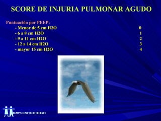 SCORE DE INJURIA PULMONAR AGUDO Puntuación por PEEP: - Menor de 5 cm H2O  0 - 6 a 8 cm H2O  1 - 9 a 11 cm H2O  2 - 12 a 14 cm H2O  3 - mayor 15 cm H2O  4 
