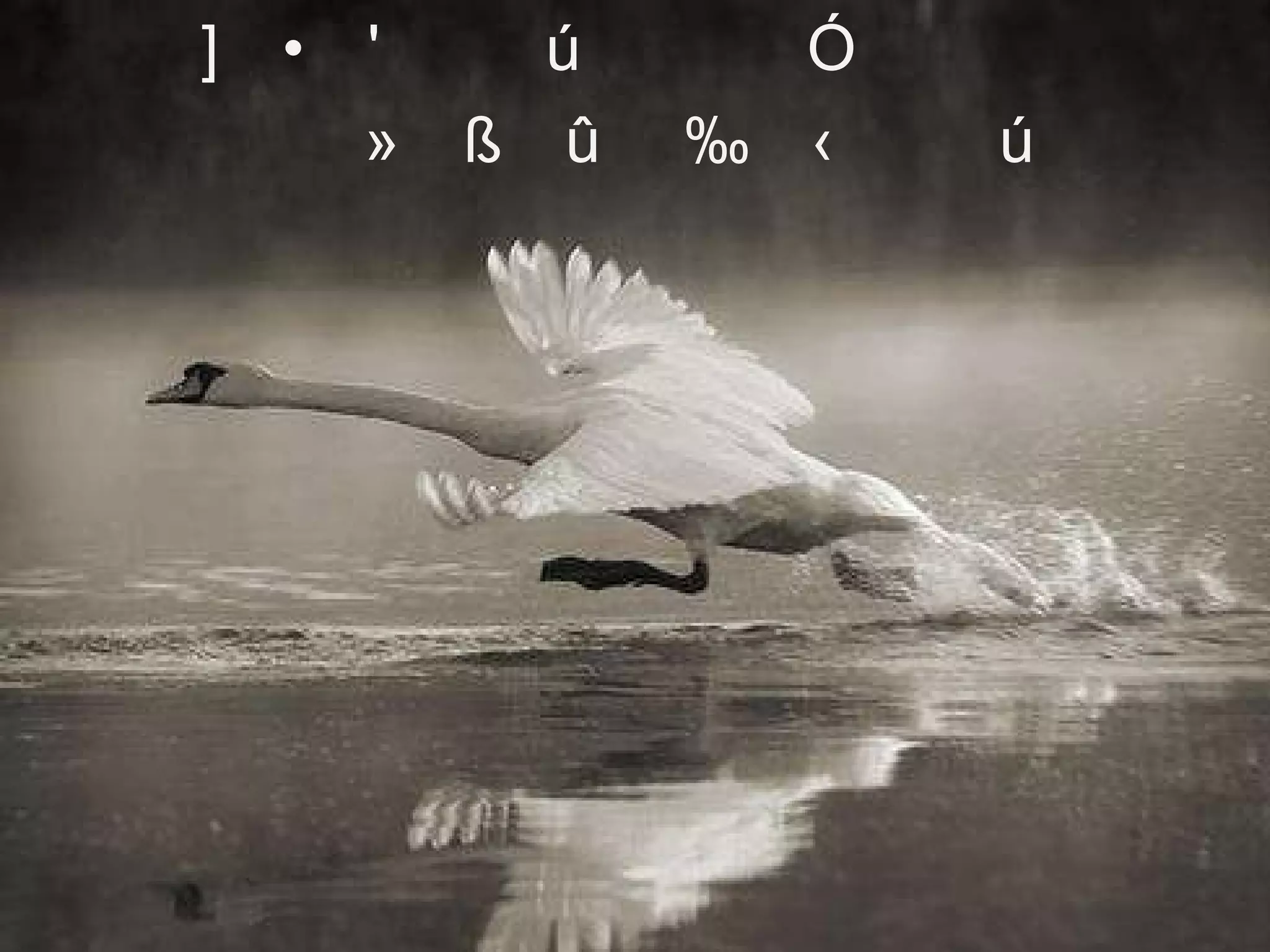 도전하는 삶이야말로 영원히 청년의 삶이다 