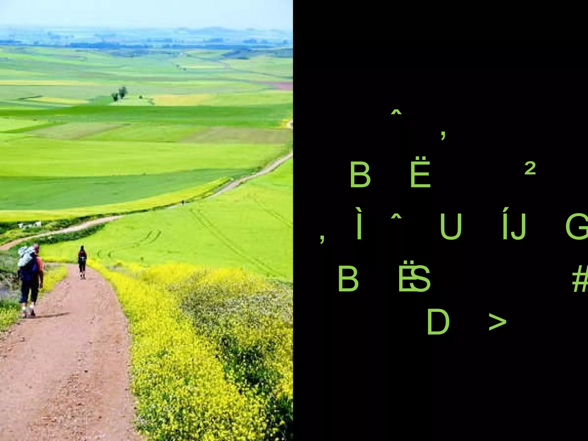 인생의  순례길이 된  스페인 산티아고 순례자의 길을 보라 