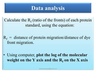 Poly-acrylamide Gel Electrophoresis | PPTX