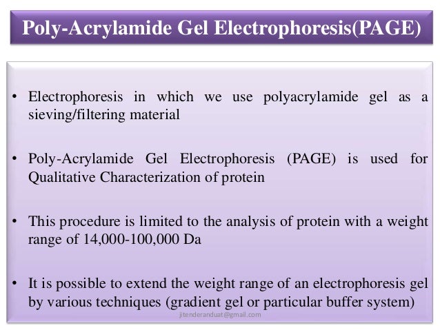 sds gel electrophoresis