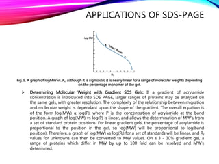 APPLICATIONS OF SDS-PAGE
Fig. 9. A graph of logMW vs. Rf. Although it is sigmoidal, it is nearly linear for a range of molecular weights depending
on the percentage monomer of the gel.
 Determining Molecular Weight with Gradient SDS Gels: If a gradient of acrylamide
concentration is introduced into SDS PAGE, larger ranges of proteins may be analyzed on
the same gels, with greater resolution. The complexity of the relationship between migration
and molecular weight is dependant upon the shape of the gradient. The overall equation is
of the form log(MW) α log(P), where P is the concentration of acrylamide at the band
position. A graph of log(MW) vs log(P) is linear, and allows the determination of MW's from
a set of standard protein positions. For linear gradient gels, the percentage of acrylamide is
proportional to the position in the gel, so log(MW) will be proportional to log(band
position). Therefore, a graph of log(MW) vs log(Rf) for a set of standards will be linear, and Rf
values for unknowns can then be converted to MW values. On a 3 - 30% gradient gel, a
range of proteins which differ in MW by up to 100 fold can be resolved and MW's
determined.
 