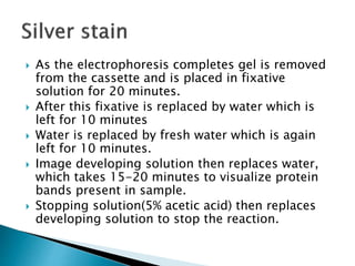  As the electrophoresis completes gel is removed
from the cassette and is placed in fixative
solution for 20 minutes.
 After this fixative is replaced by water which is
left for 10 minutes
 Water is replaced by fresh water which is again
left for 10 minutes.
 Image developing solution then replaces water,
which takes 15-20 minutes to visualize protein
bands present in sample.
 Stopping solution(5% acetic acid) then replaces
developing solution to stop the reaction.
 