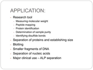 - Research tool
- Measuring molecular weight
- Peptide mapping
- Protein identification
- Determination of sample purity
- Identifying disulfide bonds
- Separation of proteins and establishing size
- Blotting
- Smaller fragments of DNA
- Separation of nucleic acids
- Major clinical use – ALP separation
APPLICATION:
 
