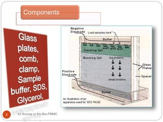 Components
Dr Anurag yadav,Bio-FMMC5
 