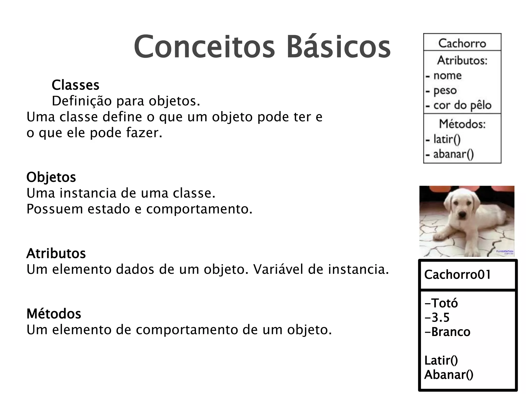 Conceitos Básicos
Classes
Definição para objetos.
Uma classe define o que um objeto pode ter e
o que ele pode fazer.
Objetos
Uma instancia de uma classe.
Possuem estado e comportamento.
Atributos
Um elemento dados de um objeto. Variável de instancia.

Cachorro01

Métodos
Um elemento de comportamento de um objeto.

-Totó
-3.5
-Branco
Latir()
Abanar()

 