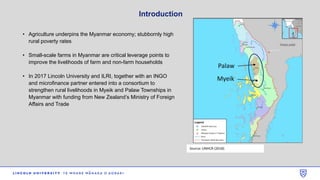 A pro-poor approach to upgrade value chains in Tanintharyi region of Myanmar