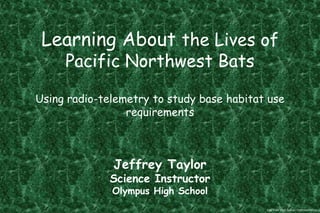 Learning About the Lives of Pacific Northwest BatsUsing radio-telemetry to study base habitat use requirementsJeffrey TaylorScience InstructorOlympus High School Get Your High School Diploma Online 