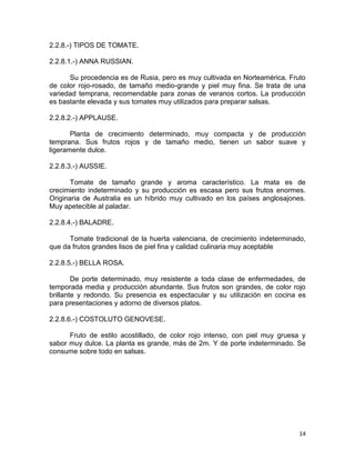 14
2.2.8.-) TIPOS DE TOMATE.
2.2.8.1.-) ANNA RUSSIAN.
Su procedencia es de Rusia, pero es muy cultivada en Norteamérica. Fruto
de color rojo-rosado, de tamaño medio-grande y piel muy fina. Se trata de una
variedad temprana, recomendable para zonas de veranos cortos. La producción
es bastante elevada y sus tomates muy utilizados para preparar salsas.
2.2.8.2.-) APPLAUSE.
Planta de crecimiento determinado, muy compacta y de producción
temprana. Sus frutos rojos y de tamaño medio, tienen un sabor suave y
ligeramente dulce.
2.2.8.3.-) AUSSIE.
Tomate de tamaño grande y aroma característico. La mata es de
crecimiento indeterminado y su producción es escasa pero sus frutos enormes.
Originaria de Australia es un híbrido muy cultivado en los países anglosajones.
Muy apetecible al paladar.
2.2.8.4.-) BALADRE.
Tomate tradicional de la huerta valenciana, de crecimiento indeterminado,
que da frutos grandes lisos de piel fina y calidad culinaria muy aceptable
2.2.8.5.-) BELLA ROSA.
De porte determinado, muy resistente a toda clase de enfermedades, de
temporada media y producción abundante. Sus frutos son grandes, de color rojo
brillante y redondo. Su presencia es espectacular y su utilización en cocina es
para presentaciones y adorno de diversos platos.
2.2.8.6.-) COSTOLUTO GENOVESE.
Fruto de estilo acostillado, de color rojo intenso, con piel muy gruesa y
sabor muy dulce. La planta es grande, más de 2m. Y de porte indeterminado. Se
consume sobre todo en salsas.
 
