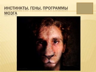 ИНСТИНКТЫ, ГЕНЫ, ПРОГРАММЫ
МОЗГА
 