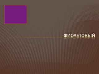 ФИОЛЕТОВЫЙ
 