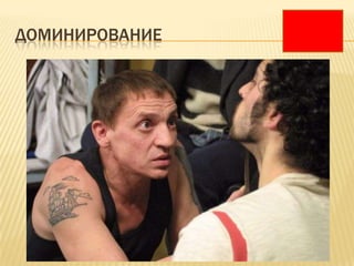 ДОМИНИРОВАНИЕ
 