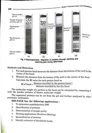 248
Glycine buffer,
pH 8.3
Sample of mixed
proteins, pH 8.3
Stacking gel.
pH 6.8
Resolving gel,
pH 8.8
Glycine buffer;
pH 8.3
Analysis and Detection
(a)
1.
2.
3.
4.
(b)
1. For each protein band measure the distance from the bottom of the well to the
centre of the band.
5.
2. Measure the distance from the bottom of the well to the centre of dye front.
6.
Proteins
beginning
tostack
Rf of band =
SDS-PAGE has the following applications
Fig. 8 Electrophoresis :Migration of proteins through stacking and
resolving gels during SDS-PAGE.
Calculate the Rf value for each protein band as
The molecular weight of a protein in the band can be estimated by comnparing it
with the marker proteins of known molecular weight.
The separated proteins can be cut from the gel and further analyzed by other
proteomic techniques.
(c)
distance travelled by the protein band 1
distance travelled bythedye front
Identification of proteins
Modern Phytotechniques and
Biostatistics
To determine peptidelprotein MW.
Bands of
protein
Determination of sample purity
(d)
Blotting applications (Southern Blotting)
Quantification of proteins
Identify existence of disulphide bonds.
Resolving
proteins
 