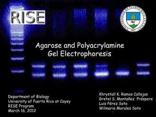 Agarose and Polyacrylamine
                 Gel Electrophoresis




                                     Khrystall K. Ramos Callejas
Department of Biology
                                     Gretel S. Montañez Próspere
University of Puerto Rico at Cayey
                                     Luis Pérez Soto
RISE Program
                                     Wilmarie Morales Soto
March 16, 2012
 