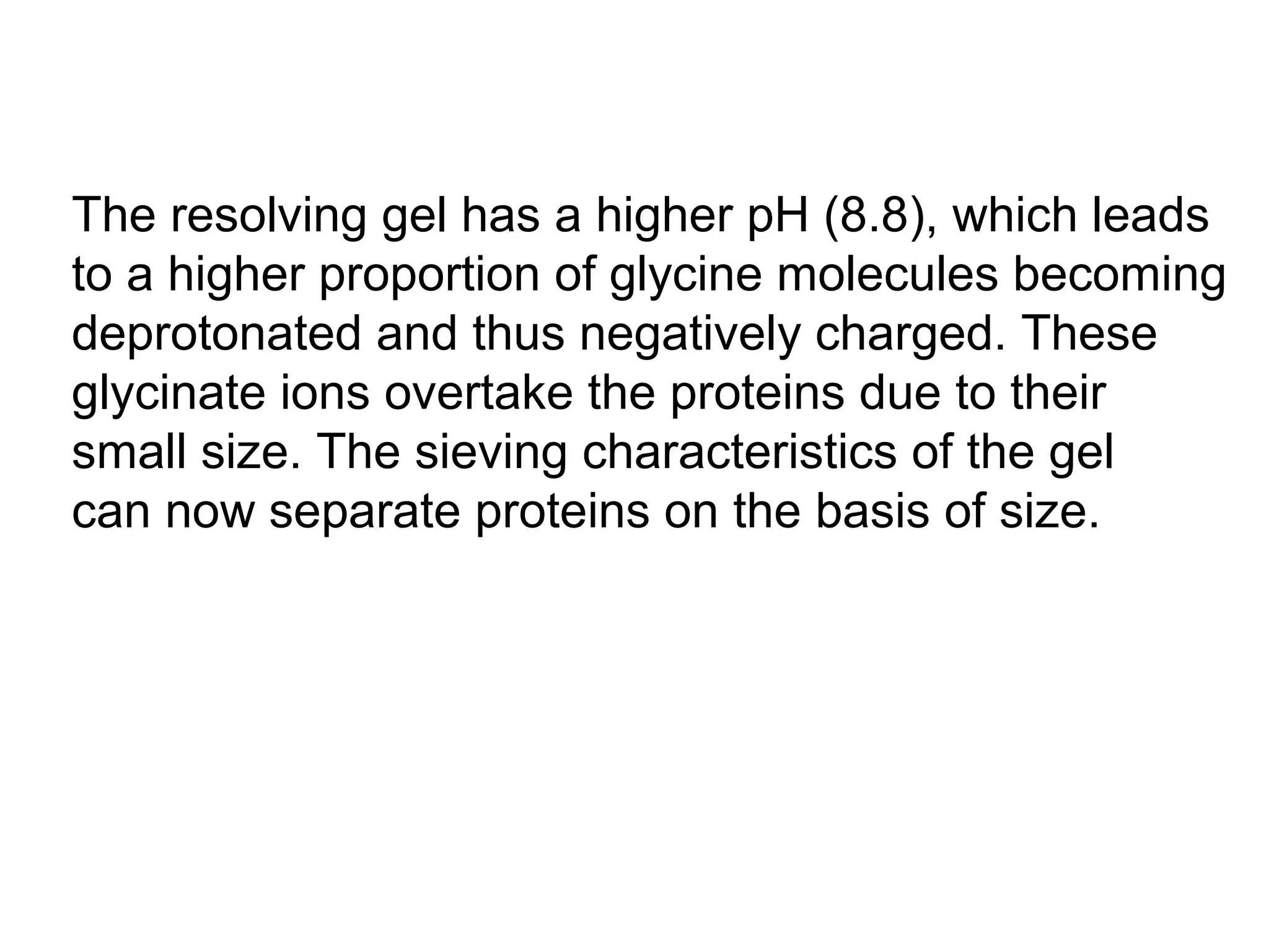The resolving gel has a higher pH (8.8), which leads 
to a higher proportion of glycine molecules becoming 
deprotonated and thus negatively charged. These 
glycinate ions overtake the proteins due to their 
small size. The sieving characteristics of the gel 
can now separate proteins on the basis of size. 
 