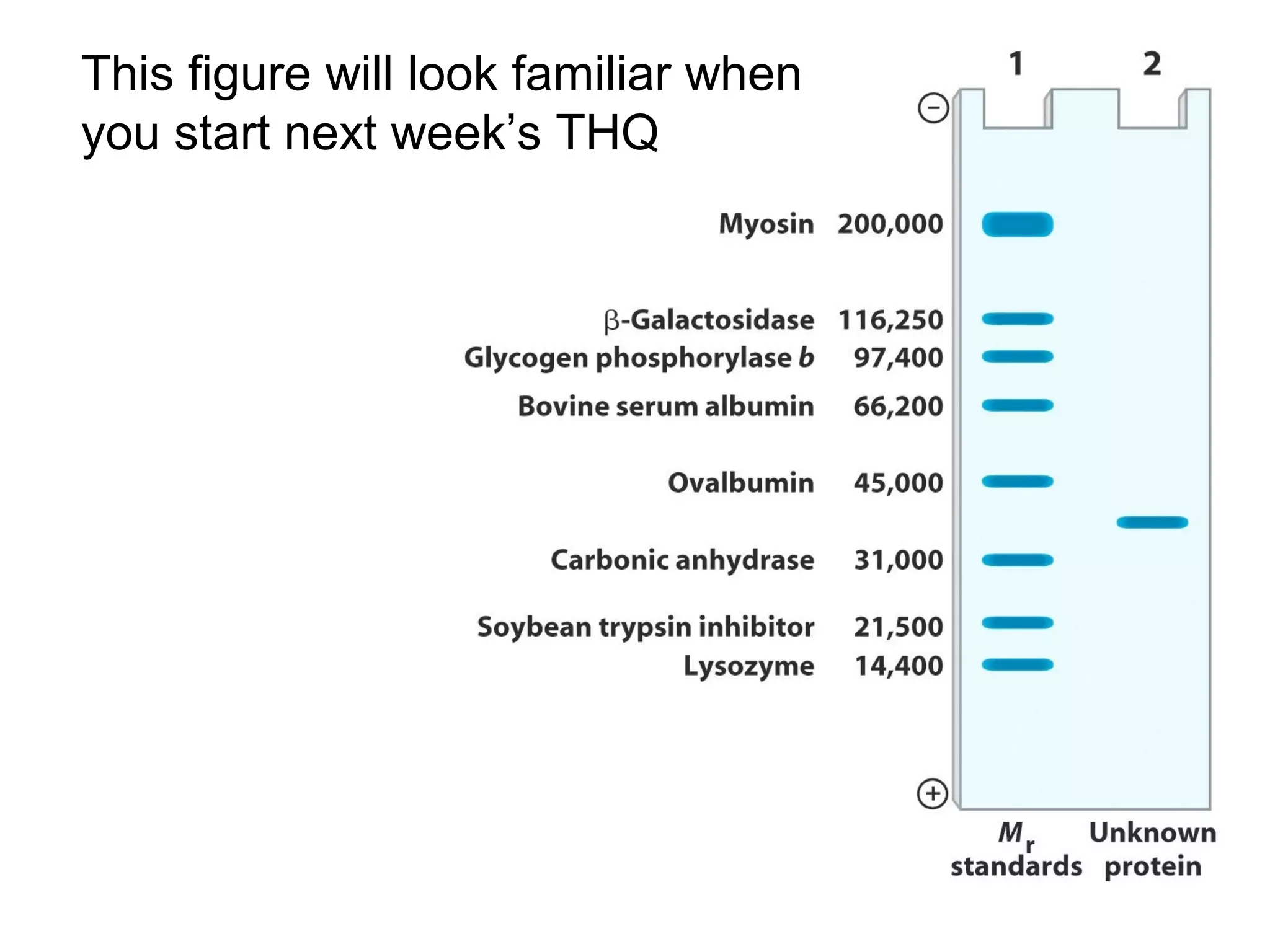This figure will look familiar when 
you start next week’s THQ 
 