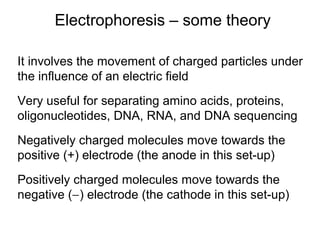 Electrophoresis – some theory 
It involves the movement of charged particles under 
the influence of an electric field 
Very useful for separating amino acids, proteins, 
oligonucleotides, DNA, RNA, and DNA sequencing 
Negatively charged molecules move towards the 
positive (+) electrode (the anode in this set-up) 
Positively charged molecules move towards the 
negative (-) electrode (the cathode in this set-up) 
 
