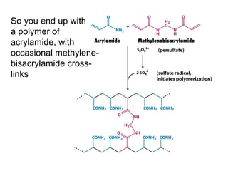 So you end up with 
a polymer of 
acrylamide, with 
occasional methylene-bisacrylamide 
cross-links 
 