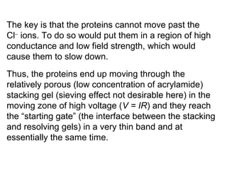 The key is that the proteins cannot move past the 
Cl- ions. To do so would put them in a region of high 
conductance and low field strength, which would 
cause them to slow down. 
Thus, the proteins end up moving through the 
relatively porous (low concentration of acrylamide) 
stacking gel (sieving effect not desirable here) in the 
moving zone of high voltage (V = IR) and they reach 
the “starting gate” (the interface between the stacking 
and resolving gels) in a very thin band and at 
essentially the same time. 
 